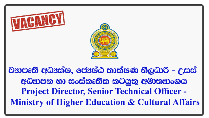 Project Director, Senior Technical Officer - Ministry of Higher Education & Cultural Affairs