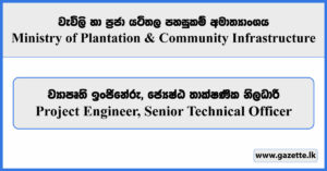 Project Engineer, Senior Technical Officer - Ministry of Plantation and Community Infrastructure Vacancies 2025