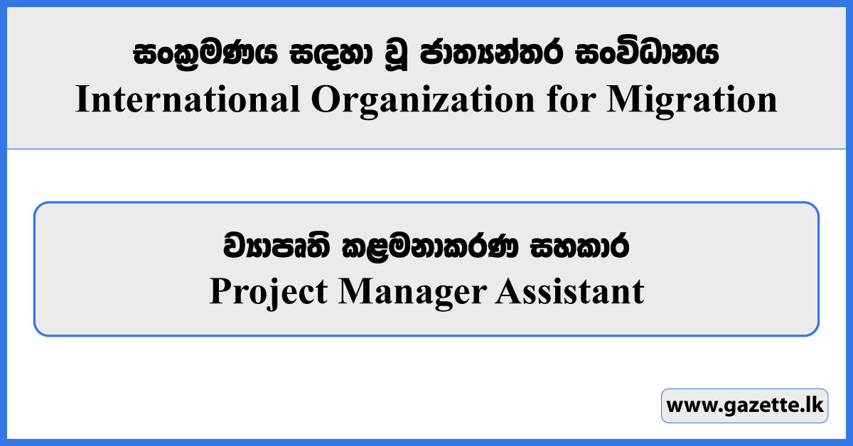 Project Manager Assistant - International Organization for Migration Vacancies 2024