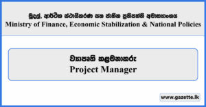 Project Manager - Ministry of Finance, Economic Stabilization & National Policies Vacancies 2024