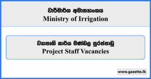 Project Staff Vacancies - Ministry of Irrigation Vacancies 2024
