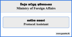 Protocol Assistant - Ministry of Foreign Affairs Vacancies 2023
