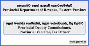 Provincial Deputy Commissioner, Provincial Valuator, Tax Officer - Provincial Department of Revenue, Eastern Province Vacancies 2024