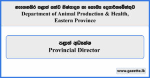 Provincial Director - Department of Animal Production & Health, Eastern Province Vacancies 2024