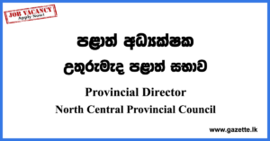 Provincial Director Vacancies