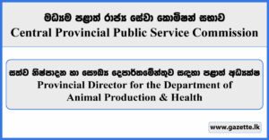 Provincial Director - Central Provincial Public Service Commission Vacancies 2024