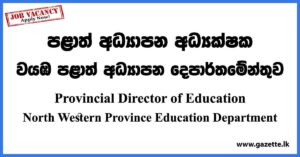 Provincial Director of Education Vacancies