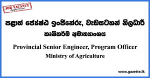 Provincial Senior Engineer, Program Officer - Ministry of Agriculture Vacancies 2023