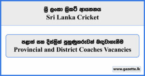 Provincial and District Coaches - Sri Lanka Cricket Vacancies 2024