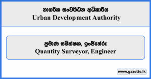 Quantity Surveyor, Engineer - Urban Development Authority Vacancies 2025