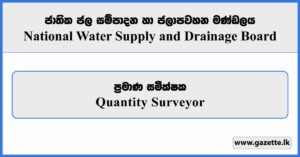 Quantity Surveyor - National Water Supply and Drainage Board Vacancies 2025