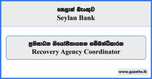 Recovery Agency Coordinator - Seylan Bank Vacancies 2023