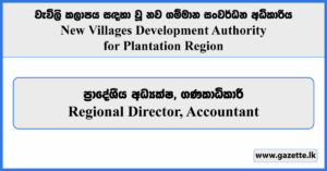 Regional Director, Accountant - New Villages Development Authority for Plantation Region Vacancies 2024