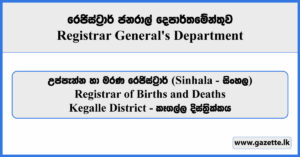 Registrar of Births and Deaths - Kegalle District (Sinhala) - Registrar General's Department Vacancies 2025