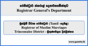 Registrar of Muslim Marriages - Trincomalee District (Tamil) - Registrar General's Department Vacancies 2025