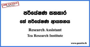 Research Assistant - Tea Research Institute Vacancies 2023