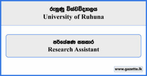 Research Assistant - University of Ruhuna Vacancies 2025