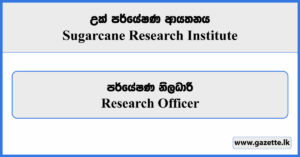 Research Officer - Sugarcane Research Institute Vacancies 2024