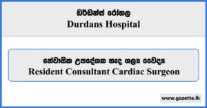 Resident Consultant Cardiac Surgeon - Durdans Hospital Vacancies 2023