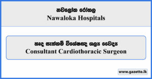 Resident Consultant Cardiothoracic Surgeon - Nawaloka Hospitals Vacancies 2025