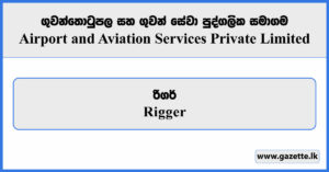 Rigger - Airport and Aviation Services Private Limited Vacancies 2026