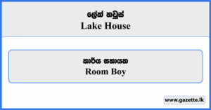 Room Boy - Lake House Vacancies 2025