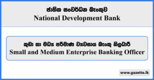 Small and Medium Enterprise Banking Officer - National Development Bank Vacancies 2024