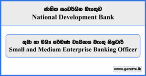 Small and Medium Enterprise Banking Officer - National Development Bank Vacancies 2024