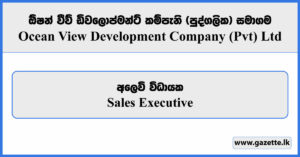 Sales Executive - Ocean View Development Company (Private) Limited Vacancies 2026