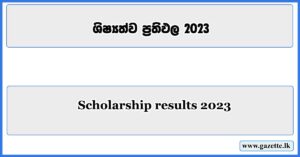 Scholarship-results-2023