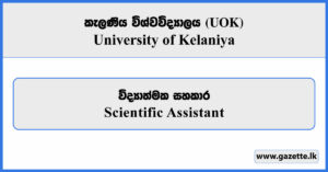 Scientific Assistant - University of Kelaniya Vacancies 2026