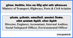 Director, Engineer, Accountant, Internal Auditor, Social Safeguard Officer, Environmental Officer - Ministry of Transport, Highways, Ports and Civil Aviation 2025