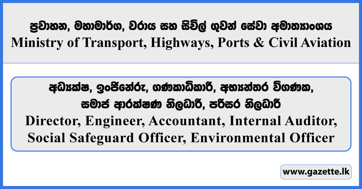 Director, Engineer, Accountant, Internal Auditor, Social Safeguard Officer, Environmental Officer - Ministry of Transport, Highways, Ports and Civil Aviation 2025
