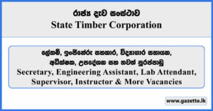 Secretary, Engineering Assistant, Lab Attendant, Supervisor, Instructor & More Vacancies - State Timber Corporation Vacancies 2025