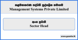 Sector Head - Management Systems Private Limited Vacancies 2024