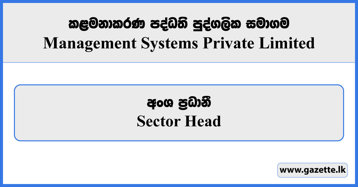 Sector Head - Management Systems Private Limited Vacancies 2024