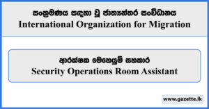 Security Operations Room Assistant - International Organization for Migration Vacancies 2024