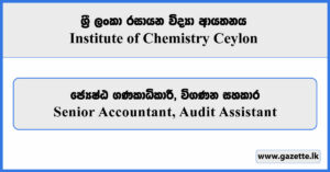 Senior Accountant, Audit Assistant - Institute of Chemistry Ceylon Vacancies 2025