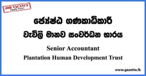 Senior Accountant - Plantation Human Development Trust Vacancies 2023