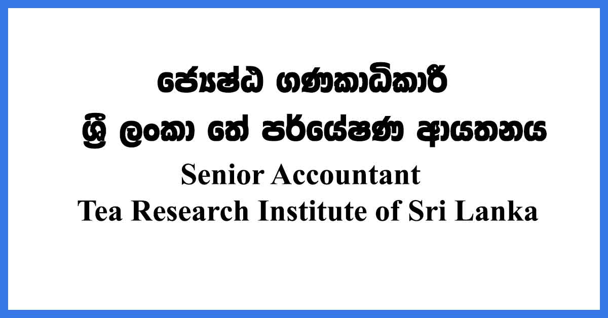 Senior-Accountant