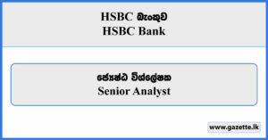 Senior Analyst - HSBC Bank Vacancies 2025