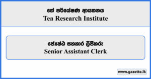 Senior Assistant Clerk - Tea Research Institute Vacancies 2025
