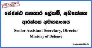Senior Assistant Secretary, Director - Ministry of Defense Vacancies 2023