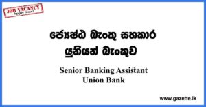 Senior Banking Assistant Union Bank