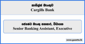 Senior Banking Assistant, Executive - Cargills Bank Vacancies 2024
