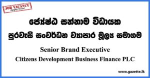 Senior Brand Executive - Citizens Development Business Finance PLC Vacancies