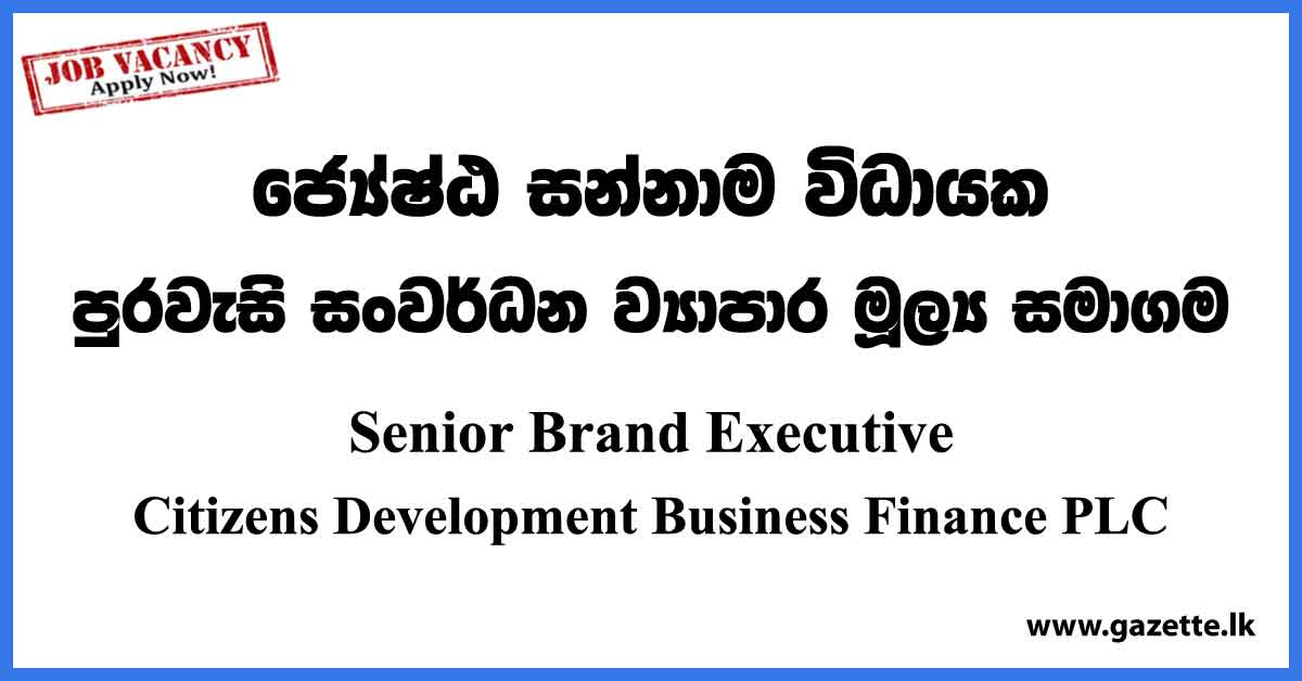 Senior Brand Executive - Citizens Development Business Finance PLC Vacancies