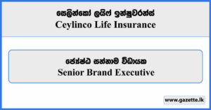 Senior Brand Executive - Ceylinco Life Insurance Vacancies 2023