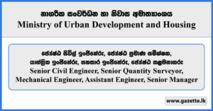 Senior Civil Engineer, Mechanical Engineer, Assistant Engineer, Senior Quantity Surveyor, Senior Manager - Ministry of Urban Development and Housing Vacancies 2023