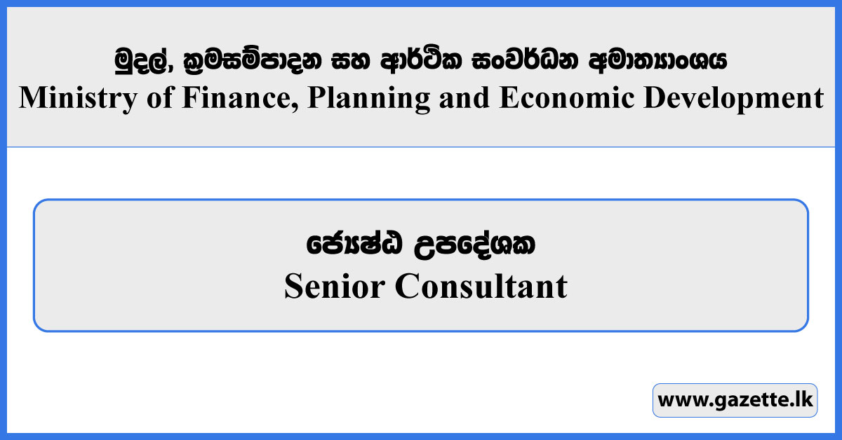Senior Consultant - Ministry of Finance, Planning and Economic Development Vacancies 2025a